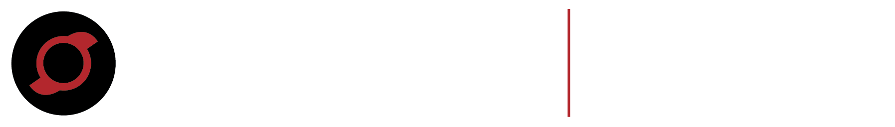 Avinger_FLEX_Logo_White_Fill