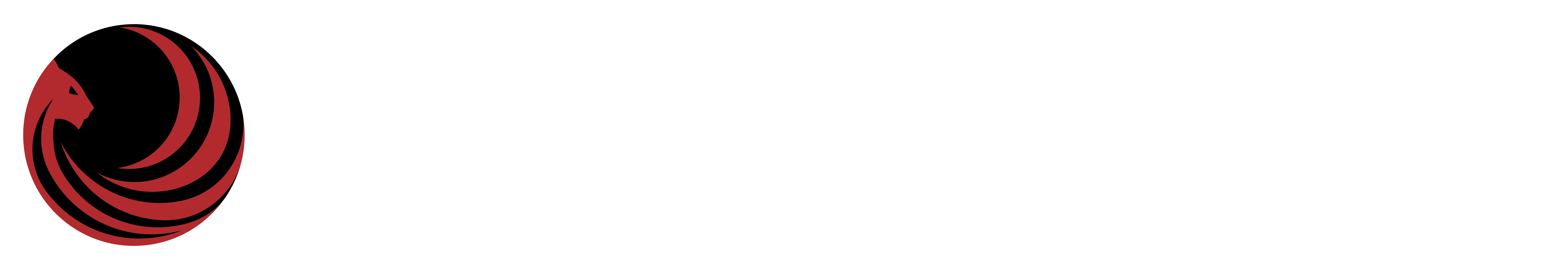 Tigereye-logo